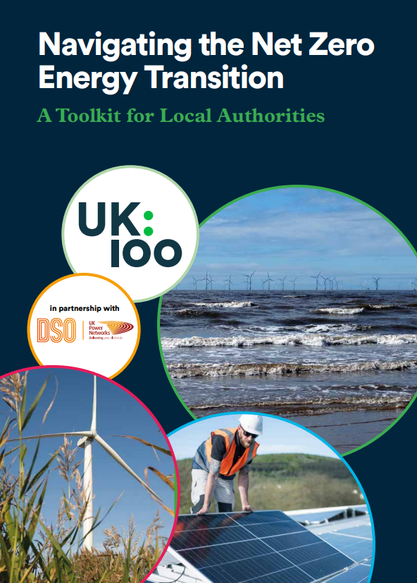 Capture - Navigating the Net Zero energy transition.PNG